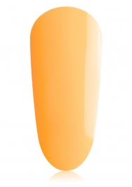 Orange Princess